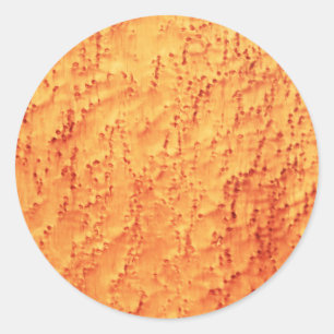 Adesivo Padrões de madeira de carapaça de aves Elegante