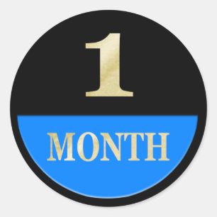 Adesivo Padrões mensais do bebê Padrões do manual do Diári