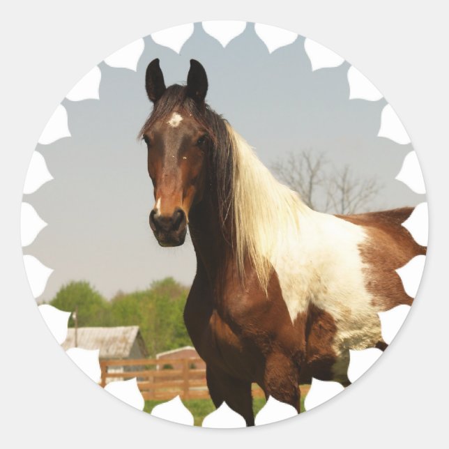 Adesivo Paint Horse Stickers (Frente)