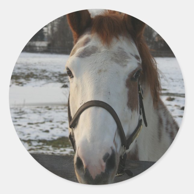 Adesivo Paint Sticker (Frente)