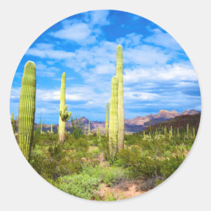 Adesivo Paisagem de cacto do deserto, Arizona