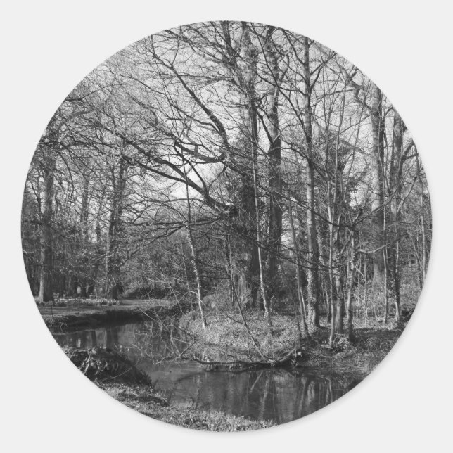 Adesivo Paisagem de Parque - Parque de Bute, Cardiff (Frente)
