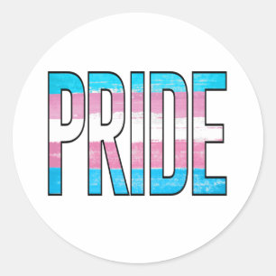 Adesivo Palavra de Orgulho Trans
