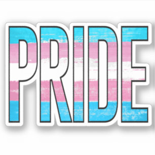 Adesivo Palavra de Orgulho Trans