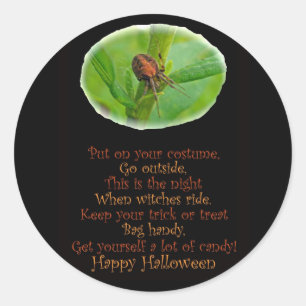 Adesivo Palheta Laranja Laranja Araneus Halloween