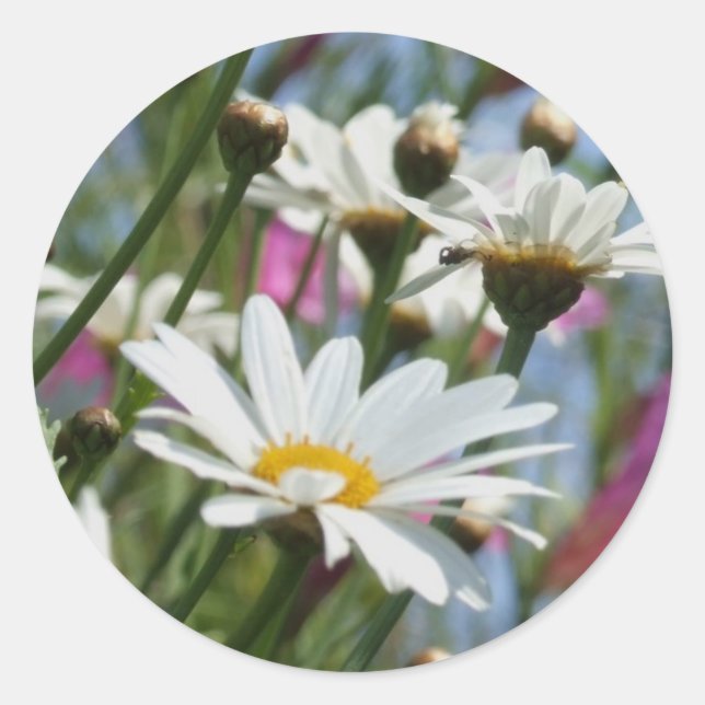 Adesivo Palhetas de Flores de Mola (Frente)