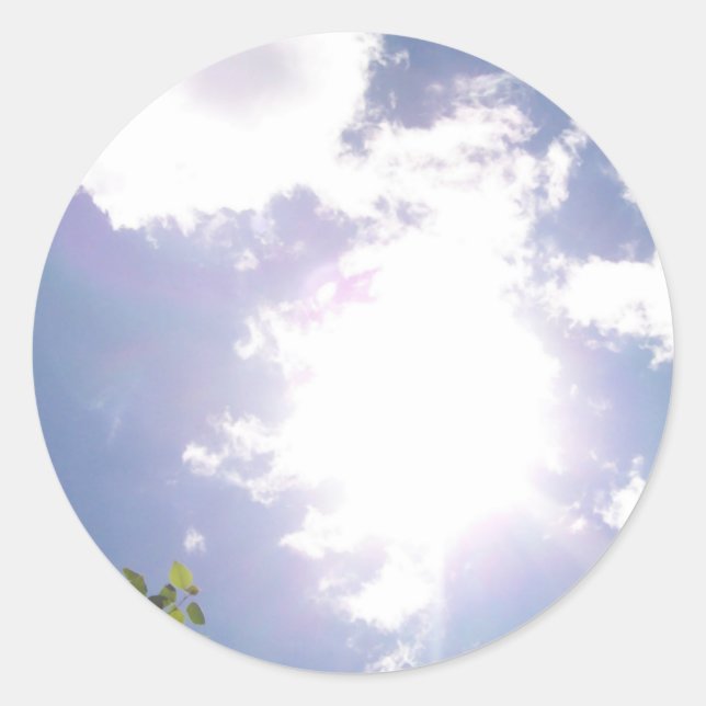 Adesivo Palhetas de luz e palhetas (Frente)