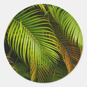 Adesivo Palm Tree Sai do Casamento Tropical de Summer Beac