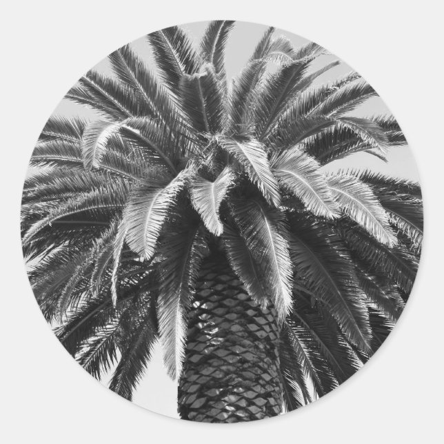 Adesivo Palm Tree Sticker (Frente)