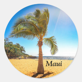 Adesivo Palm tree sticker tirado em Lanai Hawaii