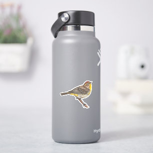 Adesivo Palm Warbler Sticker