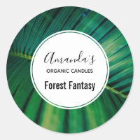 Palma Verde Folha Frond Tropical Nature Candela