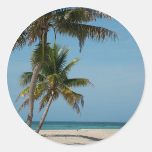 Adesivo Palmeira e praia de areia branca