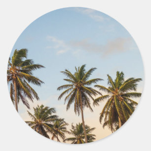 Adesivo Palmeiras de Natal tropical