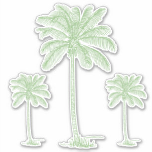 Adesivo Palmetto Palmito Verde de Pré-Disquete