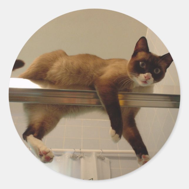 Adesivo Pancake Sticker (Frente)