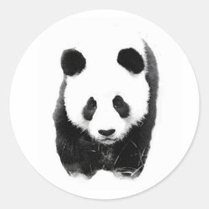 Adesivo Panda