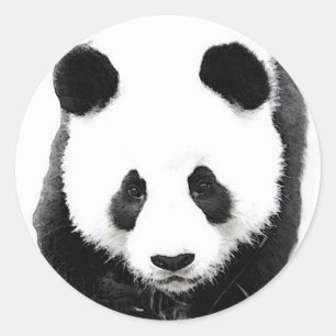 Adesivo Panda