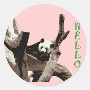 Adesivo Panda gigante em uma fotografia de zoológico de an