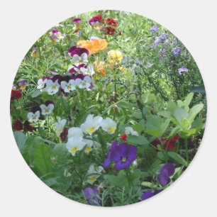 Adesivo Pansies