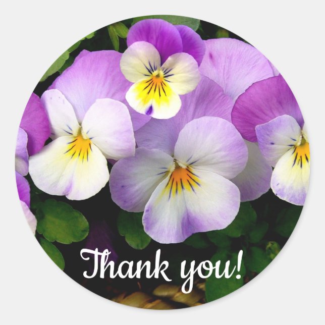 Adesivo Pansy Thand You (Frente)