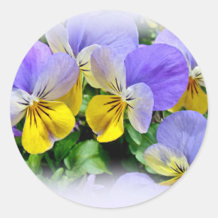 Adesivo Panteras - Amarelo roxo