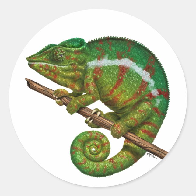 Adesivo Panther Chameleon Digital Painting (Frente)