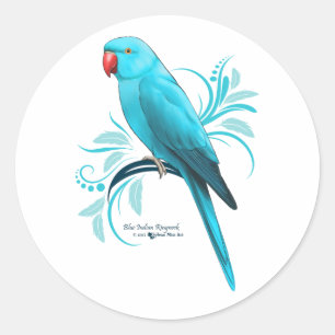 Adesivo Papagaio azul de Ringneck do indiano