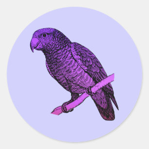 Adesivo Papagaio roxo