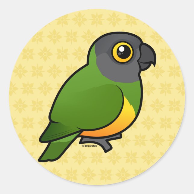Adesivo Papagaio Senegal (Frente)