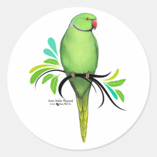 Adesivo Papagaio verde de Ringneck do indiano