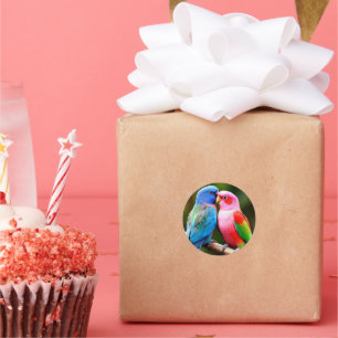 Adesivo Papagaios Coloridos Empoleirados Juntos