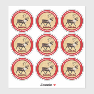 Adesivo Papai noel Próprio - Autocolante do Esquadrão de A