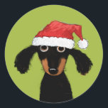 Adesivo Papais noeis de Cachorro Engraçados | Natal Dachsh<br><div class="desc">Um doce adesivo de Natal do amante Dachshund, excelente para selar presentes e envelopes nesta temporada de festas. Adorável cão preto e cabeludo bronzeado vestindo um chapéu de Papai Noel. Uma ilustração original de um desenho animado por ©Jenn Inashvili. Visite o Doodle World de Jenn para ver alguns presentes originais...</div>