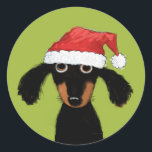 Adesivo Papais noeis de Cachorro Engraçados | Natal Dachsh<br><div class="desc">Um doce adesivo de Natal do amante Dachshund, excelente para selar presentes e envelopes nesta temporada de festas. Adorável cão preto e cabeludo bronzeado vestindo um chapéu de Papai Noel. Uma ilustração original de um desenho animado por ©Jenn Inashvili. Visite o Doodle World de Jenn para ver alguns presentes originais...</div>
