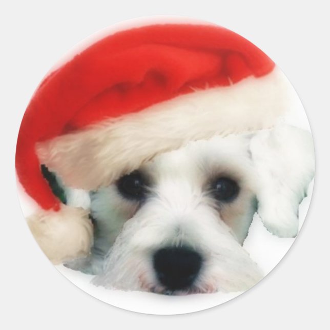Adesivo Papais noeis Schnauzer Sticker (Frente)