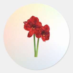 Adesivo Par de Amaryllis Vermelho