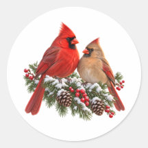 Par de Cardinals do Norte no Natal com Evergreen N