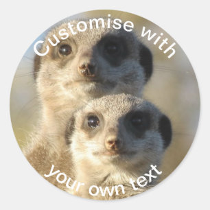 Adesivo Par Personalizado de Meerkats