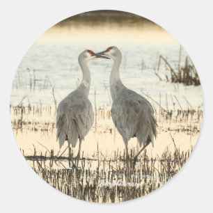 Adesivo Par Sandhill Crane