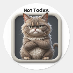 Adesivo para Artesanato do Grumpy Cat "Não Hoje" –
