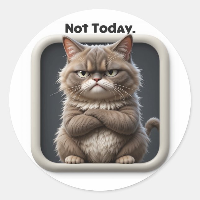 Adesivo para Artesanato do Grumpy Cat "Não Hoje" – (Frente)