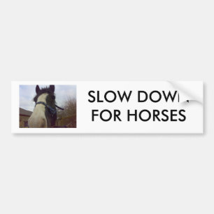 ADESIVO PARA CARRO 27012007032 (1), SLOW DOWN PARA CAVALOS