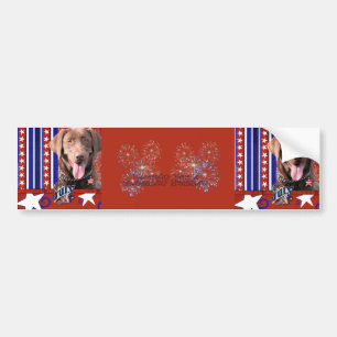 Adesivo Para Carro 4 de julho foguete - Labrador - chocolate
