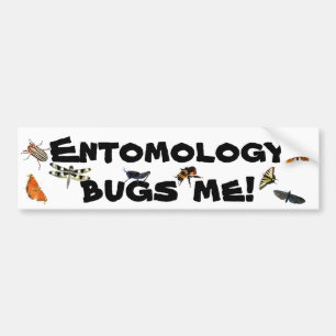 Adesivo Para Carro A entomologia desinseta-me chalaça