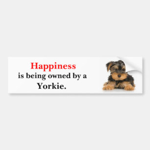 Adesivo Para Carro A felicidade está sendo possuída por um Yorkie