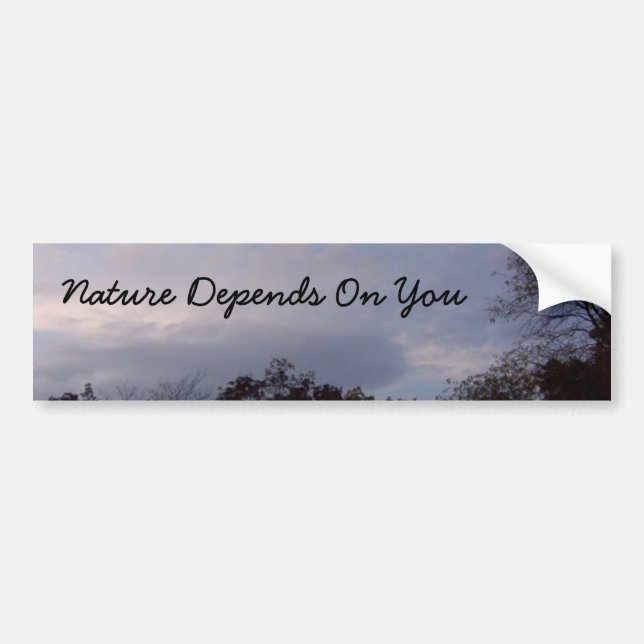 Adesivo Para Carro A Natureza Depende De Você (Frente)