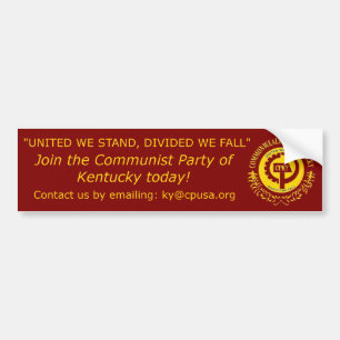 Adesivo Para Carro "A união faz a força "