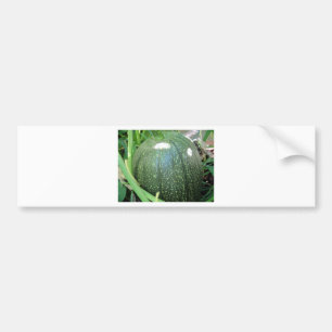 Adesivo Para Carro Abóbora Verde