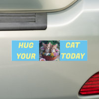 Abrace seu gato hoje